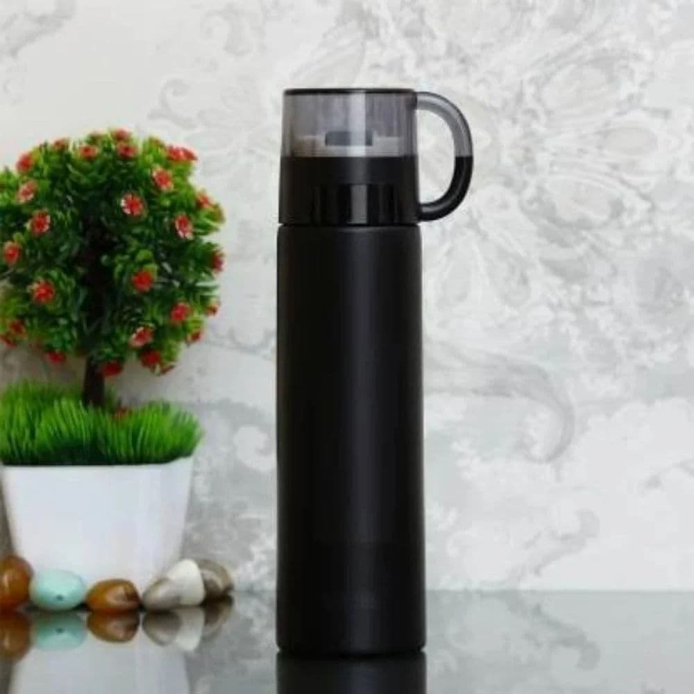 Steel Capacity: 500 mL Double Wall Ss Vacuum Water Bottle
